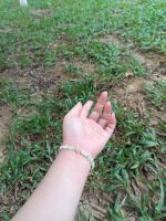 Starrybead | Mint Whisperline Bead Bracelet