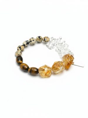 Radiant Prosperity: Brazilian Citrine, Tiger Eye & Dalmatian Jasper Healing Bracelet