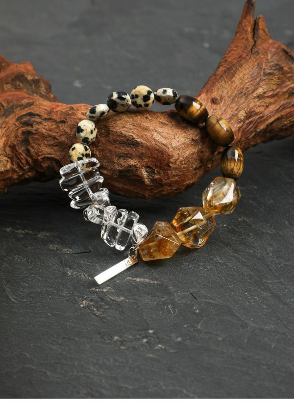 Radiant Prosperity: Brazilian Citrine, Tiger Eye & Dalmatian Jasper Healing Bracelet