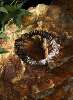Mountain Stillness: Natural Agarwood, Smoky Quartz & Clear Crystal Zen Bracelet