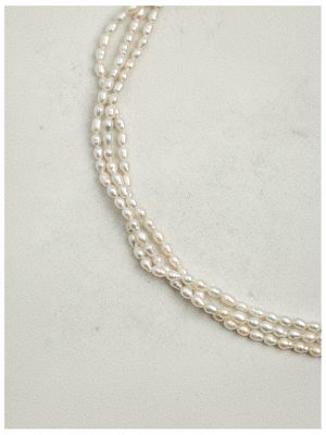 img_08_2026-01-24_21.35.59