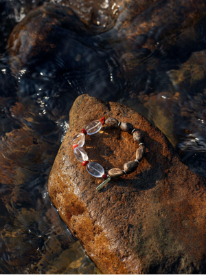 img_12_2026-01-24_22.00.40