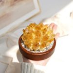 Radiant Prosperity: Natural Citrine Cluster & Solid Wood Healing Ornament