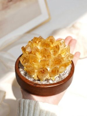 img_02_2026-02-11_17.59.21_edited