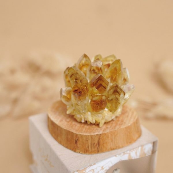Radiant Prosperity: Natural Citrine Cluster & Solid Wood Healing Ornament