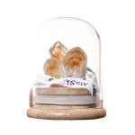 Radiant Abundance: Natural Citrine, Amethyst & Clear Quartz Energy Dome