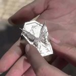 Eternal Metamorphosis: Silver-Plated Butterfly Coffin Jewelry Vessel