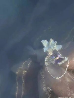 streamlit-product-2-4