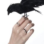 Eternal Paradox: Sterling Silver Dove & Raven Feather Garnet Couple Rings