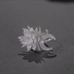 Ethereal Bloom: Matte Sterling Silver & Moonstone Epiphyllum Ring